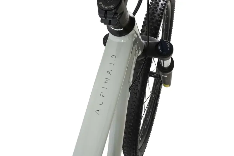 Claud Butler Alpina 1.0 29 hardtail MTB -5