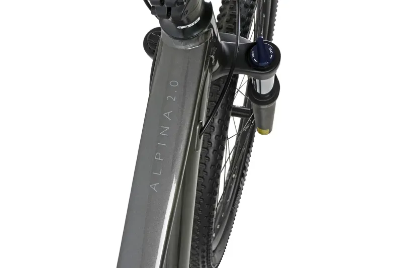 Claud Butler Alpina 2.0 29 -4