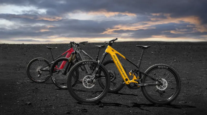Electric Mountain Bikes Full Suspension 