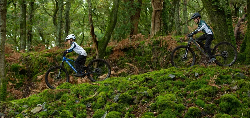 Kids Electric Mountain Bikes