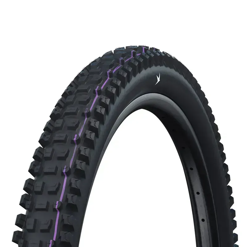 Schwalbe Albert Radial Gravity Pro Folding TLE Black 