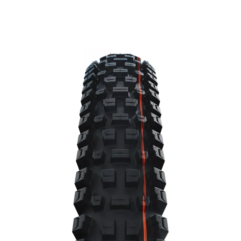 Schwalbe Albert Gravity Pro Radial Soft MTB Tyre -1